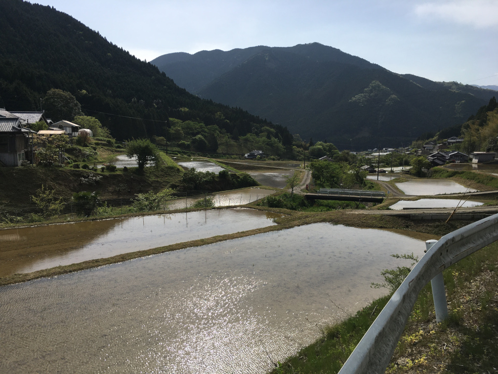 奥猪篠の棚田の景色5