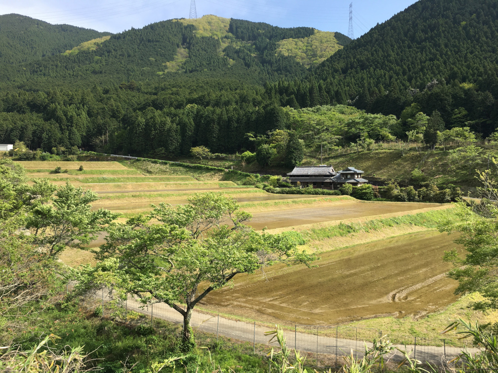 奥猪篠の棚田の景色2