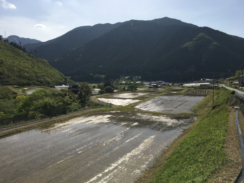 奥猪篠の棚田の景色1