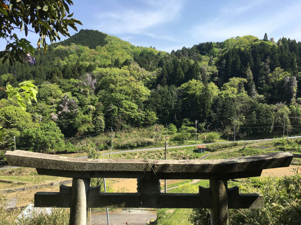 乙木大谷の棚田の景色8