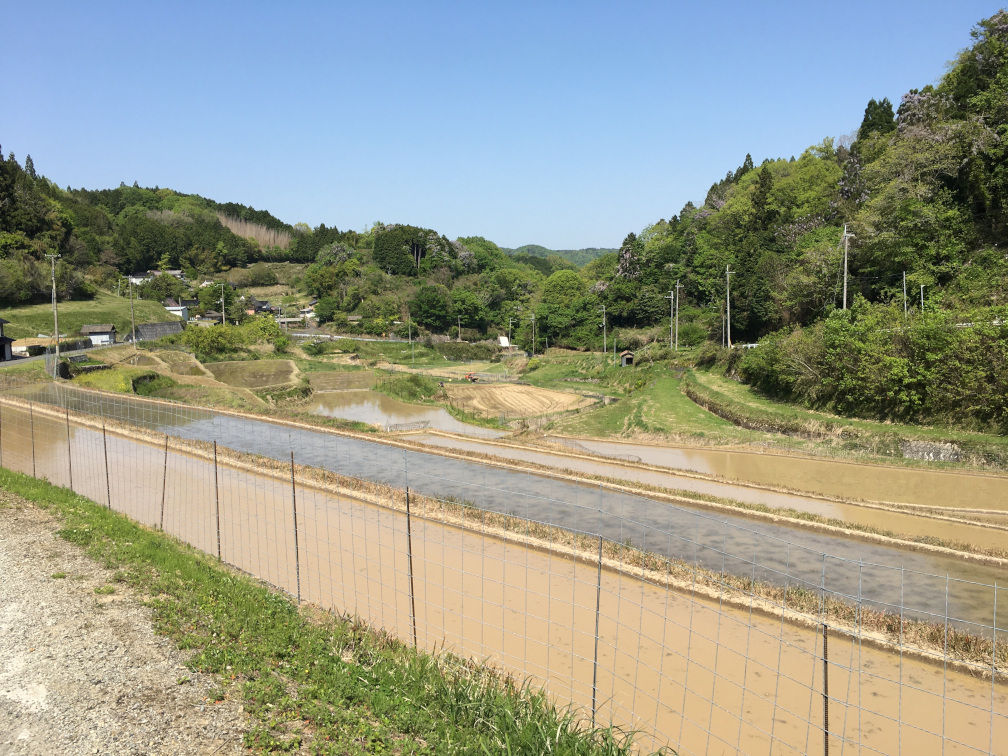 乙木大谷の棚田の景色10