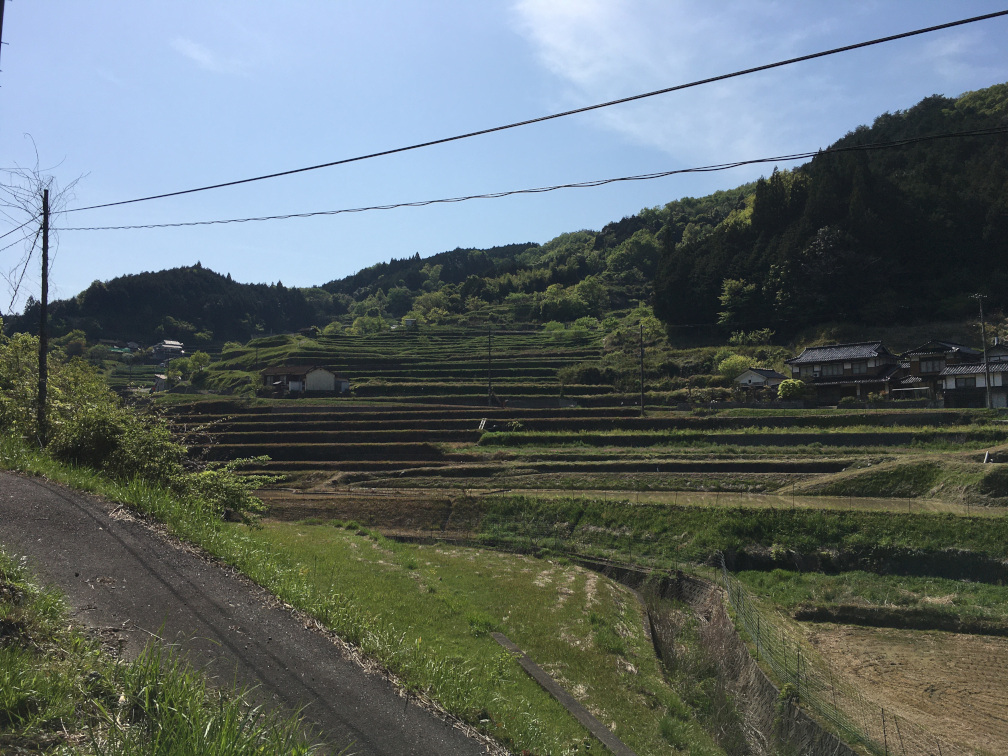 乙木大谷の棚田の景色2