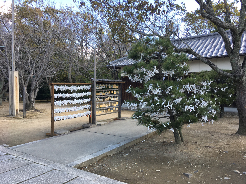 木の枝に結ばれたおみくじ