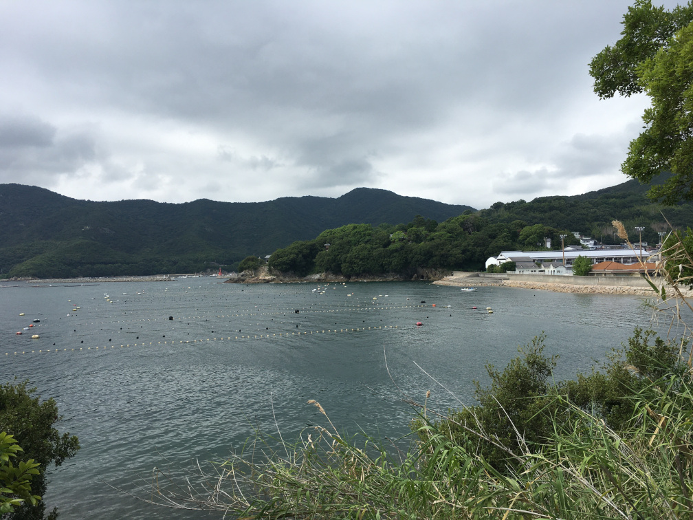 海と小学校が見える道中の景色