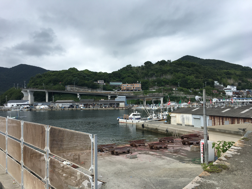 湾内の漁港の風景