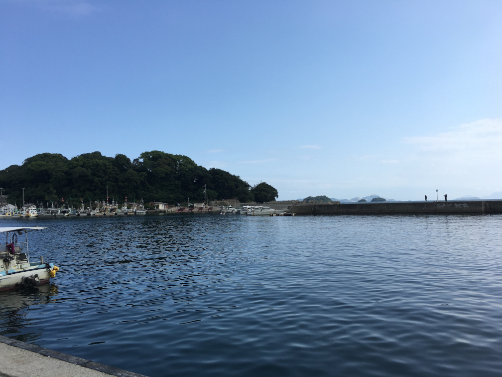 湾内の風景